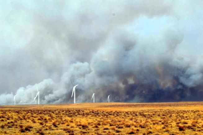 Northeastern Colorado wildfire kills scores of cattle