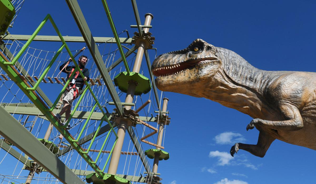 t rex experience