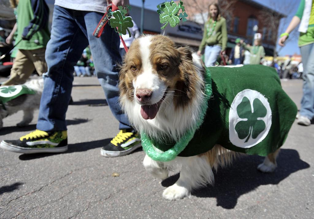 Downtown Colorado Springs Roads Closed During St Patrick S Day
