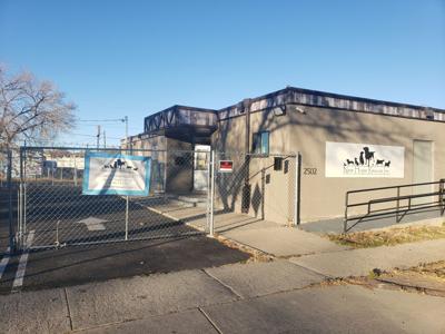 Colorado Springs animal shelter ordered to close over concerns of highly  contagious viral disease | Local News 