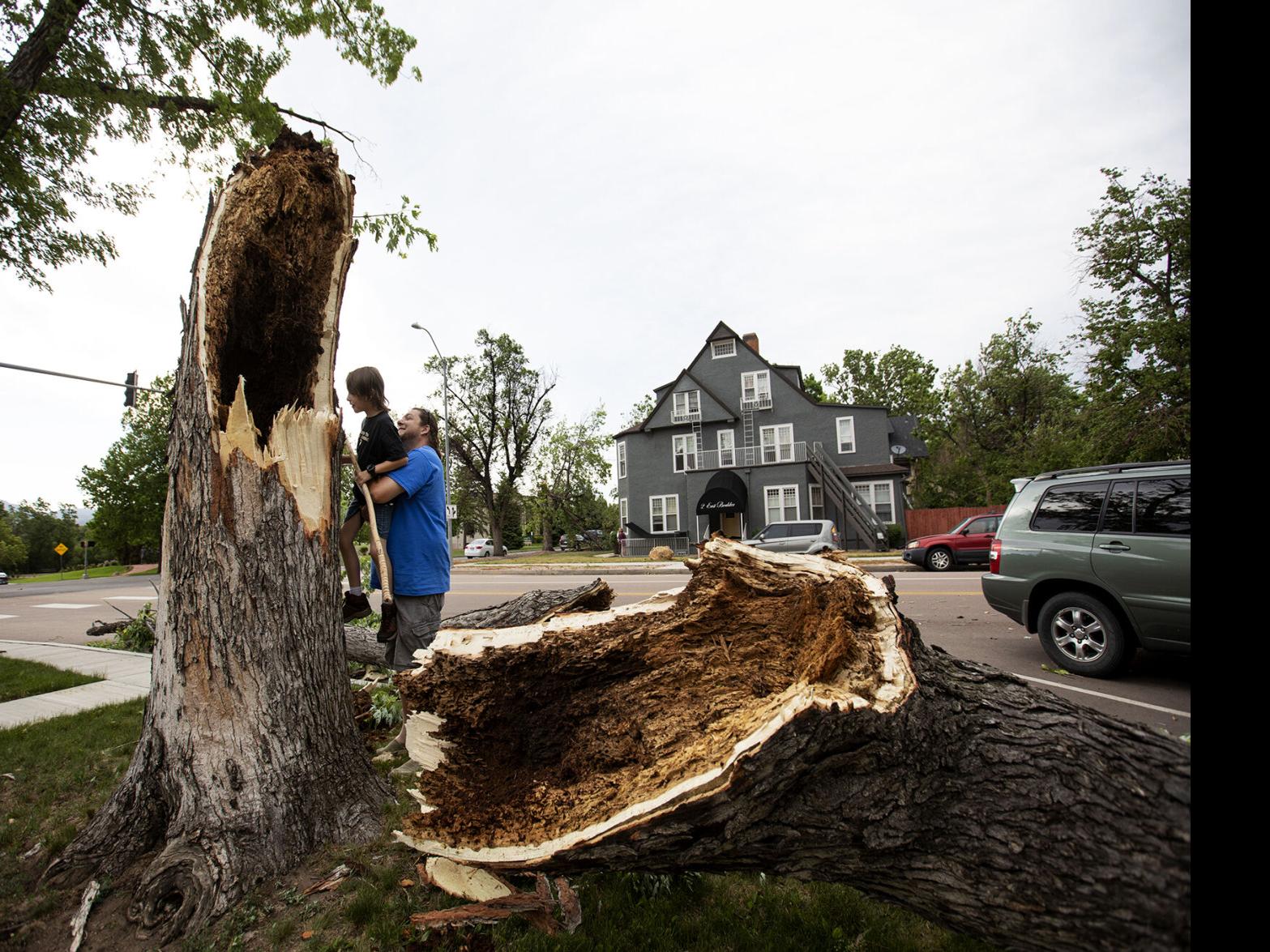 Blustery Spring Storm Damages Trees Causes Power Outages In Pikes Peak Region And Beyond Local News Gazette Com