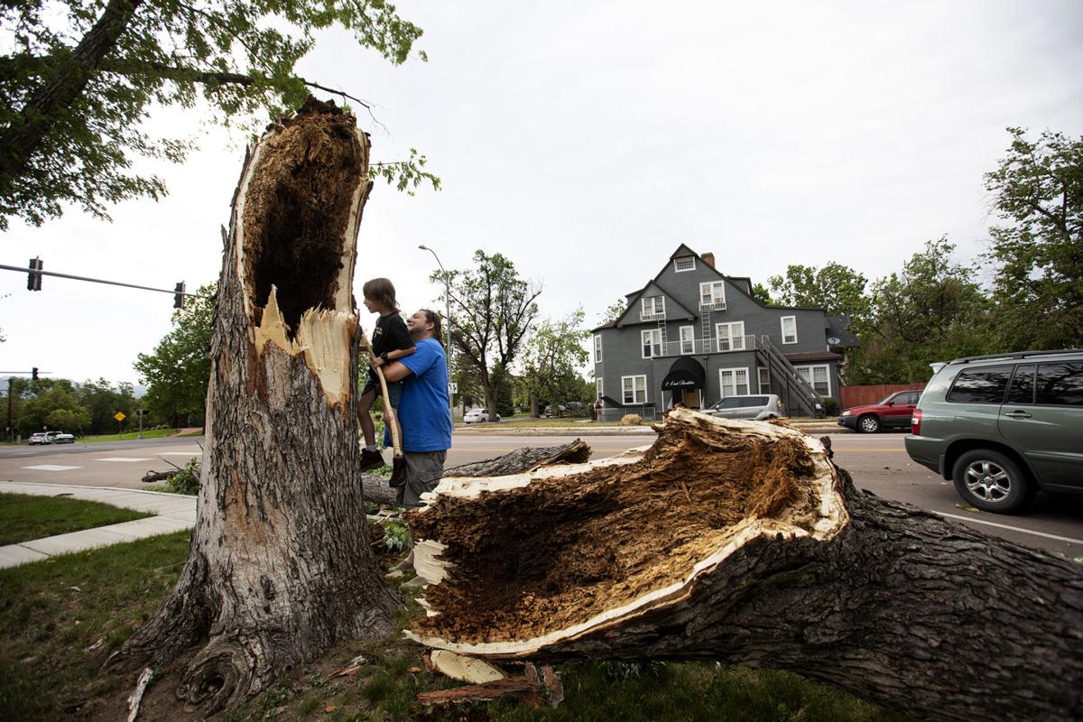 Blustery Spring Storm Damages Trees Causes Power Outages In Pikes Peak Region And Beyond Local News Gazette Com