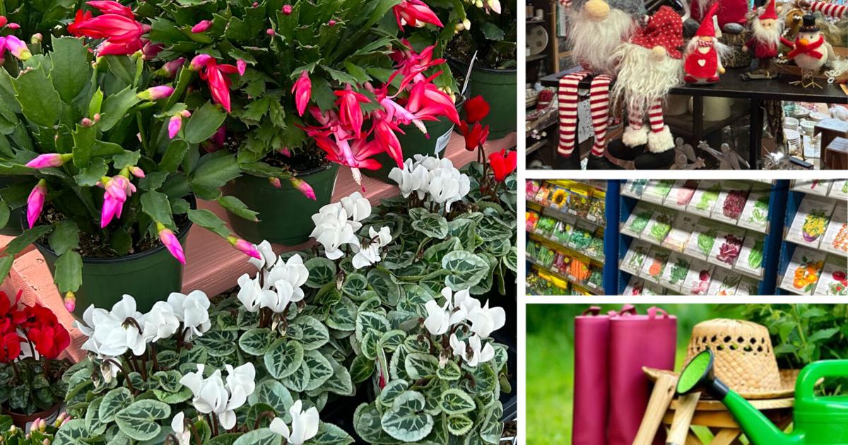 Year-round gardening: Gift ideas for the Colorado gardener on your list | Lifestyle Year-round gardening: Gift ideas for the Colorado gardener on your list | Lifestyle