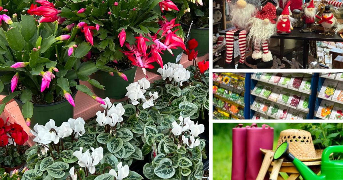 Year-round gardening: Gift ideas for the Colorado gardener on your list | Lifestyle