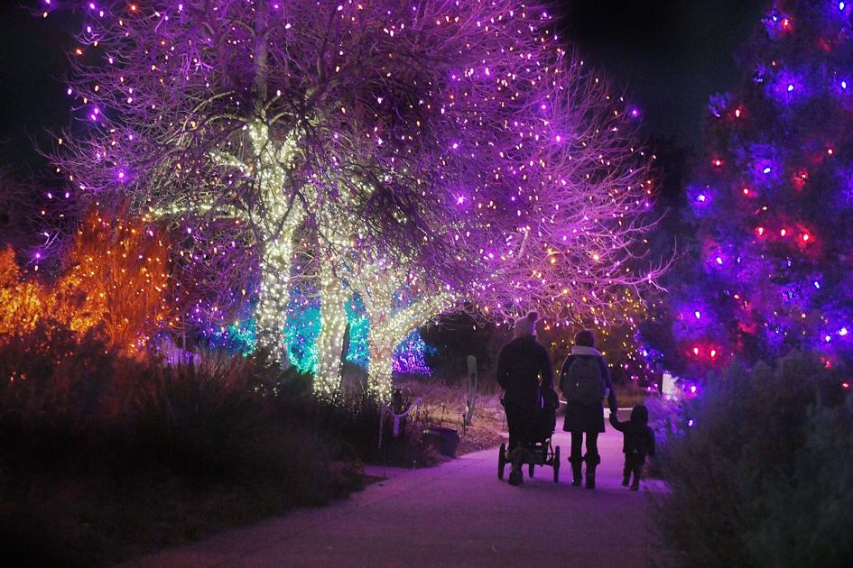 Blossoms of Light at Denver Botanic Garden Multimedia