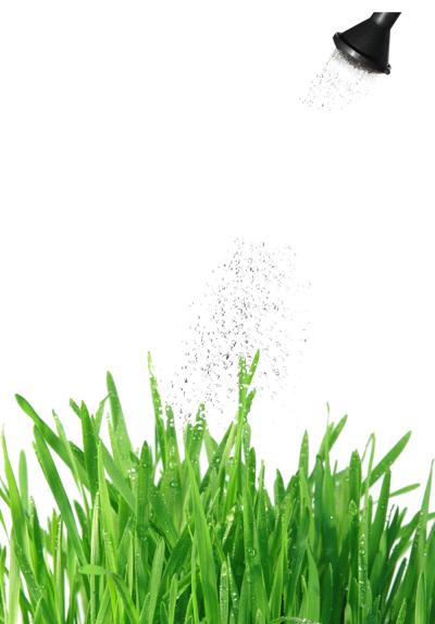 Green Lawn Starts With Watering In The Winter Colorado Springs