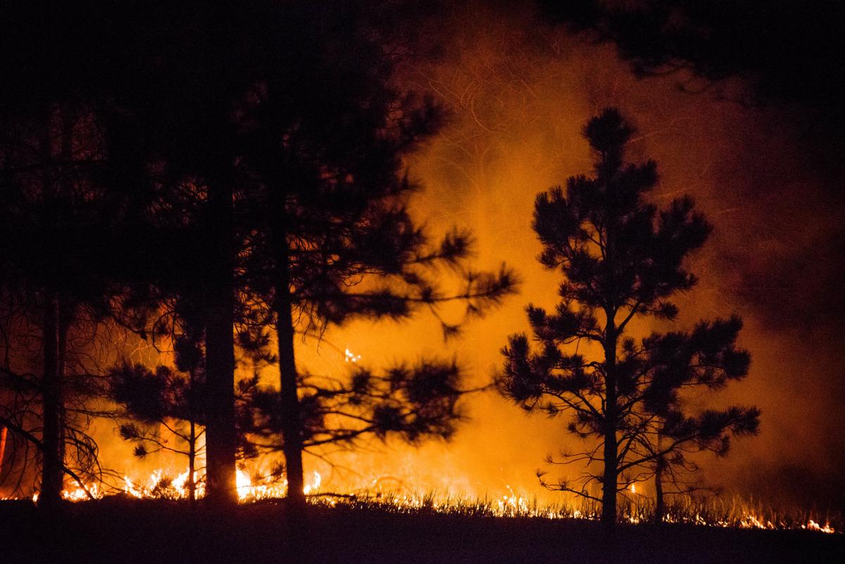 BLACK FOREST FIRE