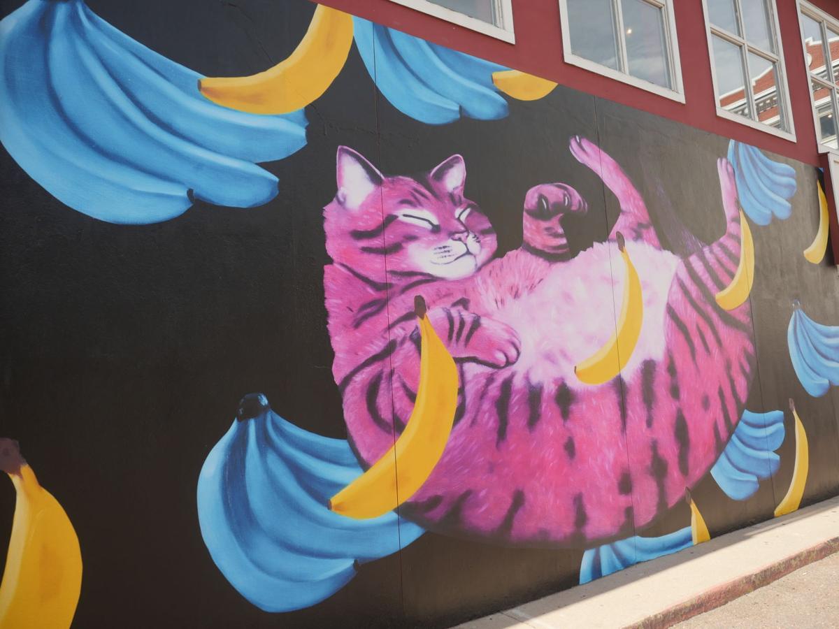 Colorado Springs Art On The Streets Self Guided Tour And