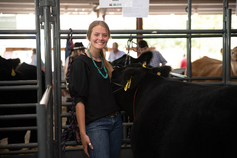 Junior Livestock Auction at Colorado State Fair brings in record haul
