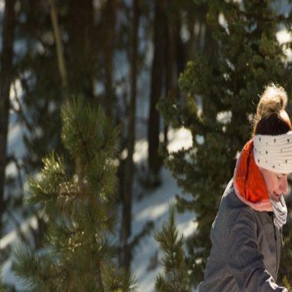Whether Cutting Your Own Or Buying One Some Tips For Getting A Christmas Tree Lifestyle Gazette Com
