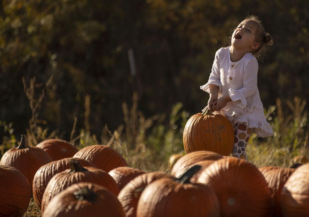 Fall fun at Long Neck Pumpkin Farm