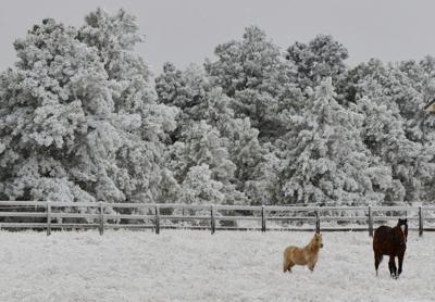 Snow Storm In El Paso County Expected To Taper Off Over Saturday