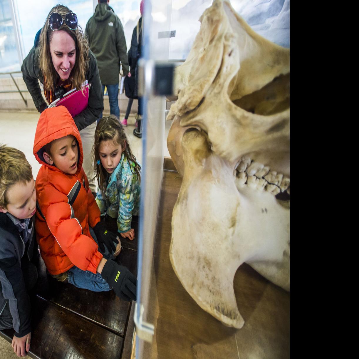 Learning Can Be Super Fun At The Cheyenne Mountain Zoo Colorado
