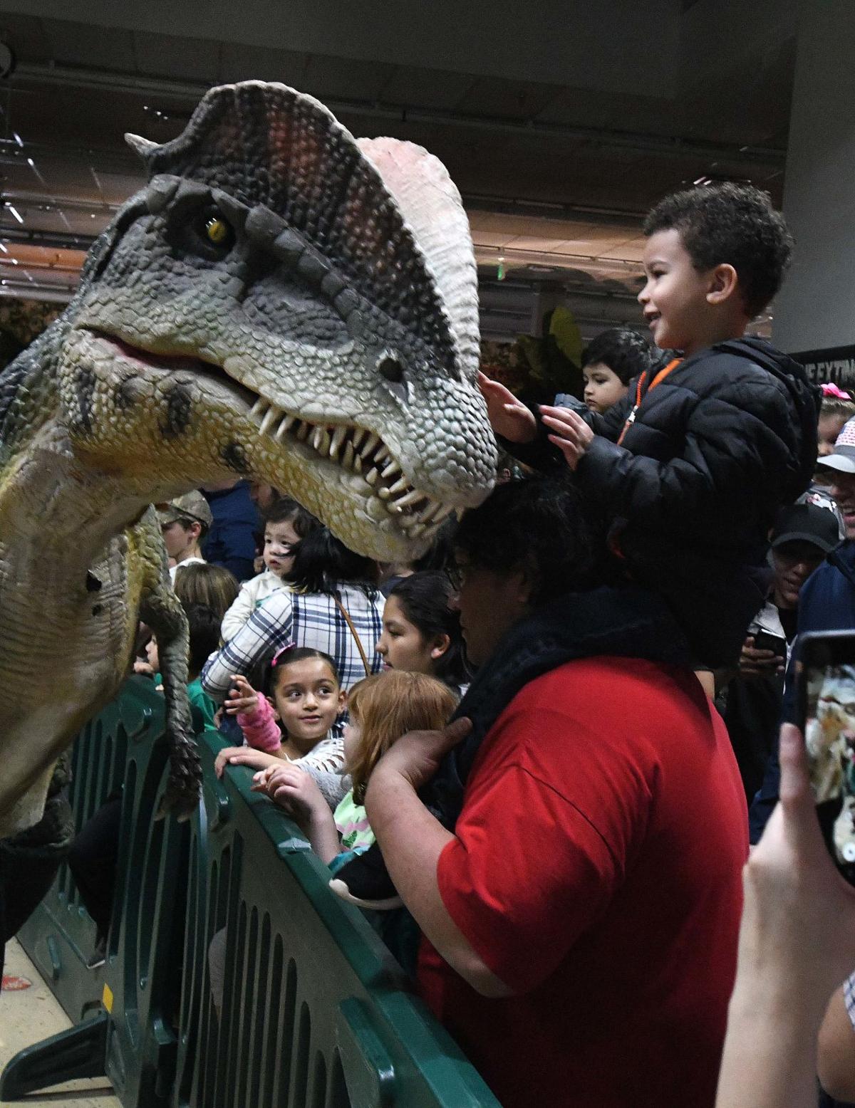 Dinosaurs Come Alive At Animatronic Jurassic Quest In Colorado Springs 3268