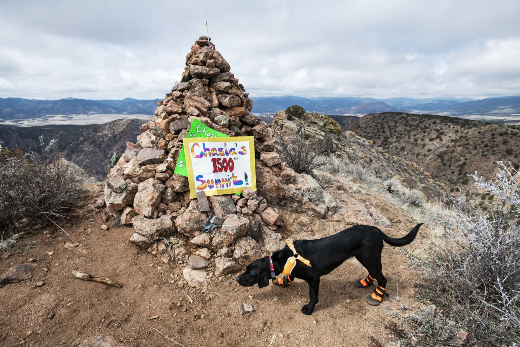 Mountain sales man kennels