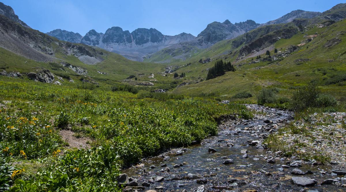 Enjoy The Views 5 Spots For Wildflower Viewing In Colorado Thetribune Gazette Com