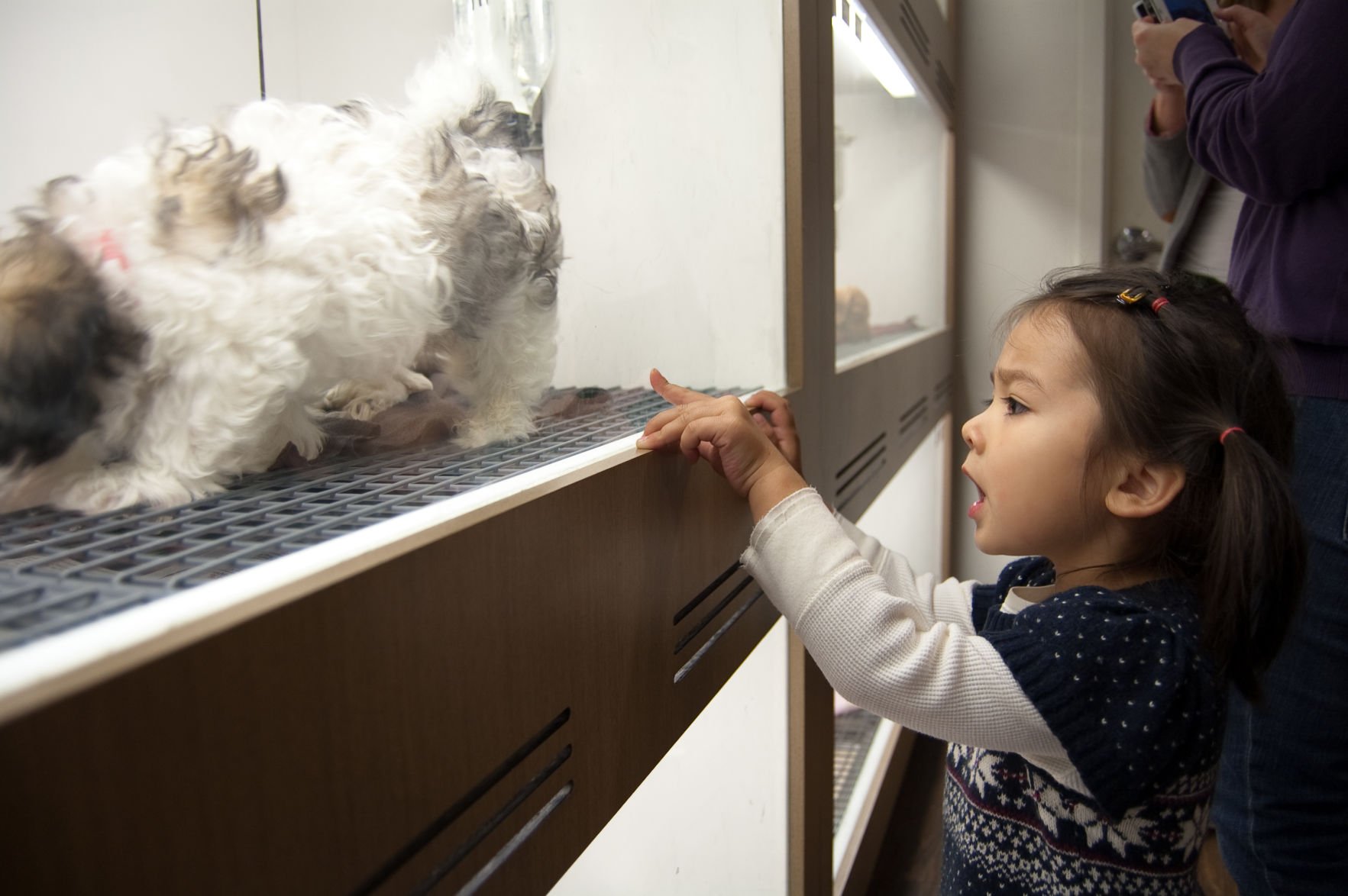 Citadel mall 2024 pet store