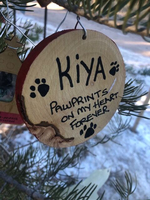 A seasonal tribute tree to pets