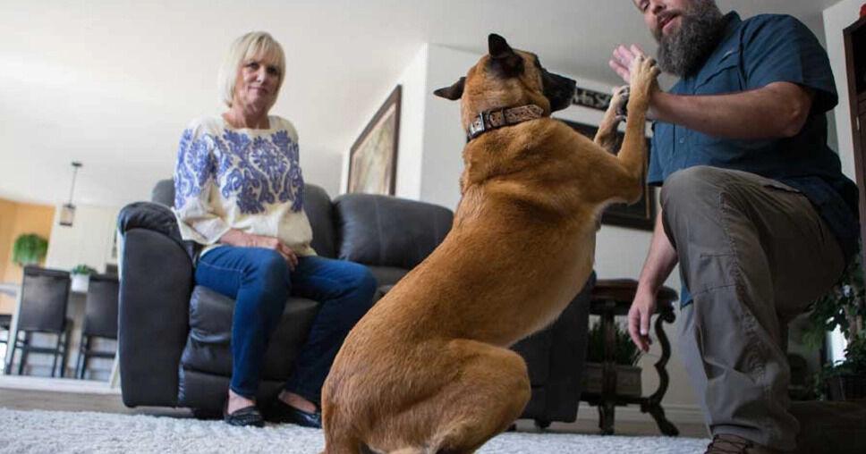New pup? Colorado Springs trainer offers some advice for new pet parents | Pets New pup? Colorado Springs trainer offers some advice for new pet parents | Pets