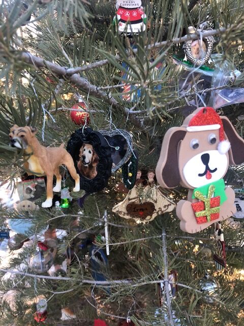 A seasonal tribute tree to pets