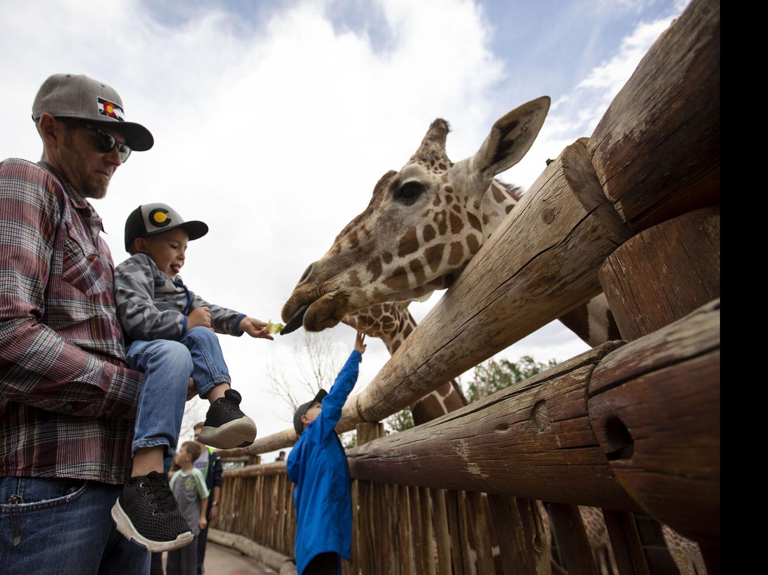 List Which Colorado Springs Area Tourist Destinations Parks And