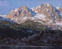 Colorado Springs artwork gallery to characteristic household of painters, together with landscapes by shade blind, ambidextrous artist | Arts & Leisure