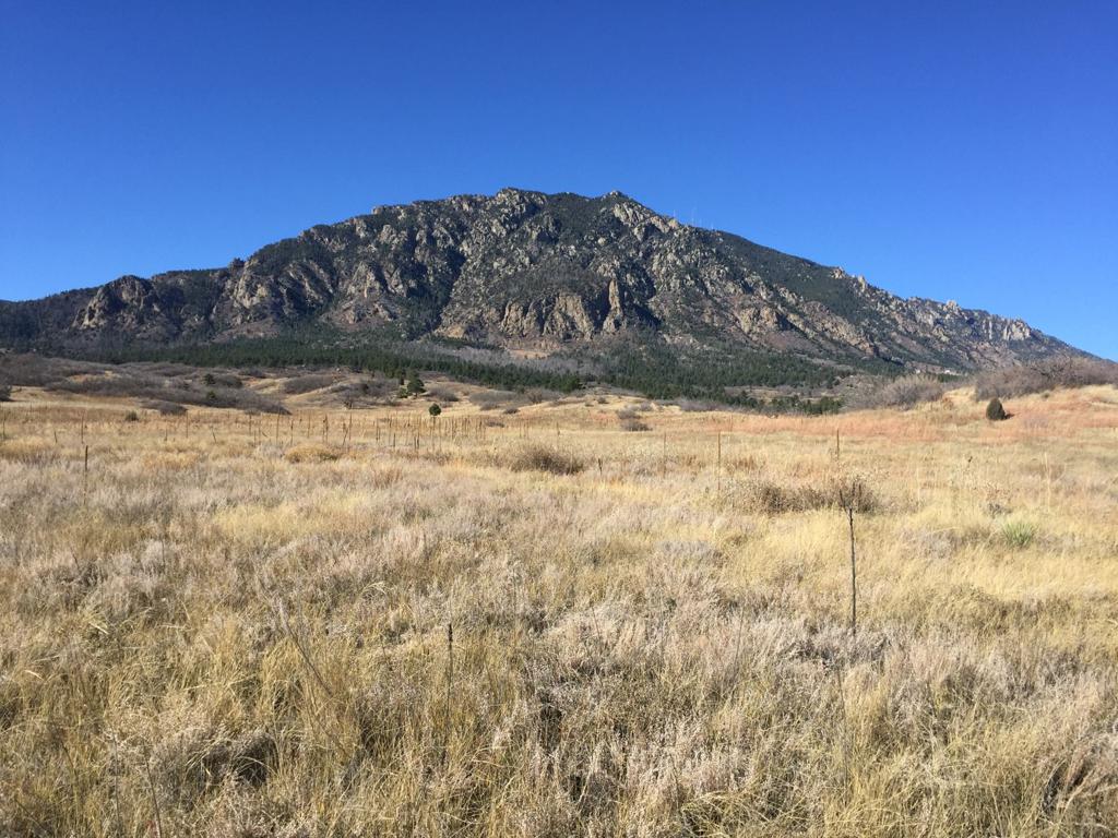 are dogs allowed at cheyenne mountain state park