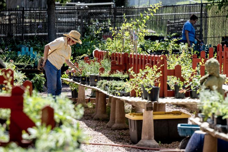 Good Earth Garden Center In Colorado Springs To Close Business