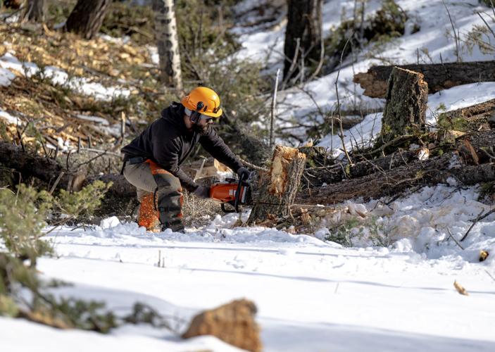 chainsaw and wood water｜TikTok Search