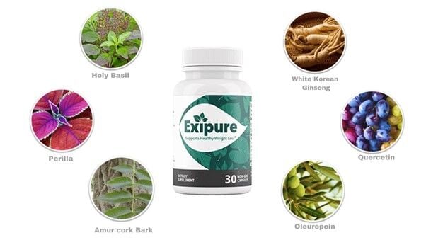 Exipure Reviews: Serious User Complaints or Ingredients That Work? -  Redmond Reporter