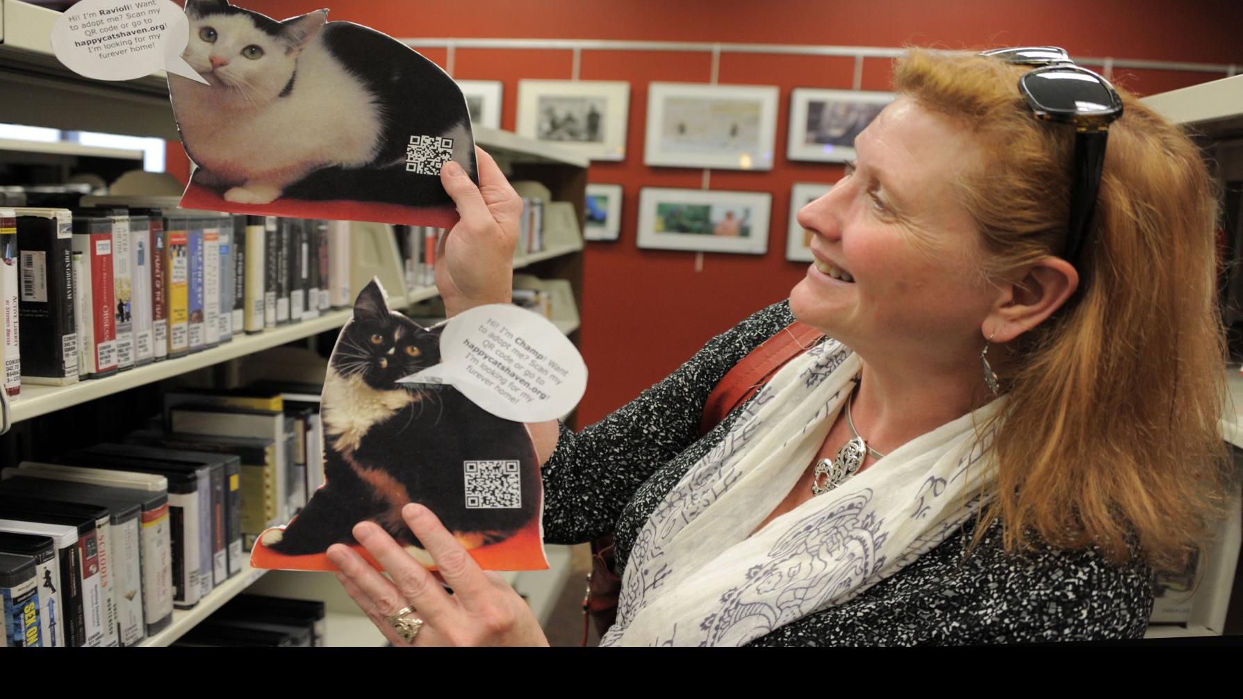 Want A Kitty With That Book Springs Area Libraries Adopt Cat