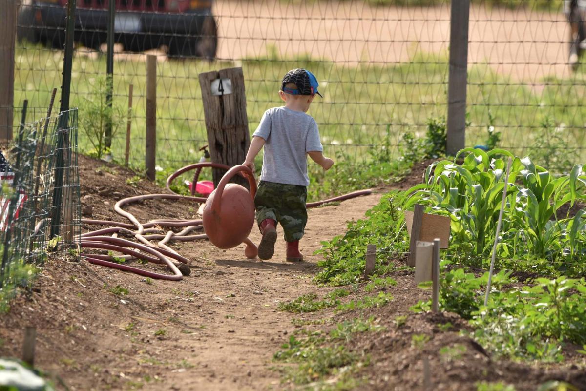 A Garden Experience Showcases Growing Impact Of Bear Creek