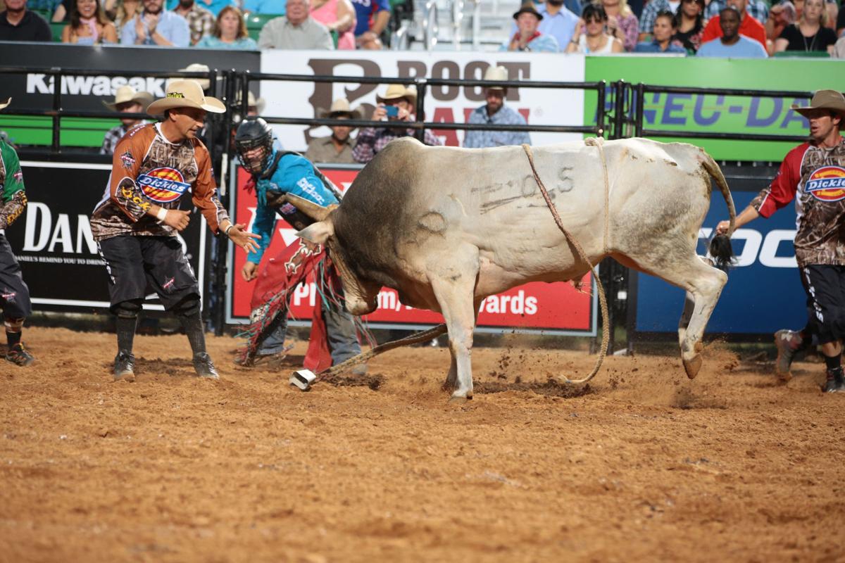 Protecting Pbr S Top Riders Frank Newsom Colorado Springs News Gazette Com