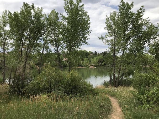 Quail Lake is a classic scene of summer in Colorado Springs Cheyenne