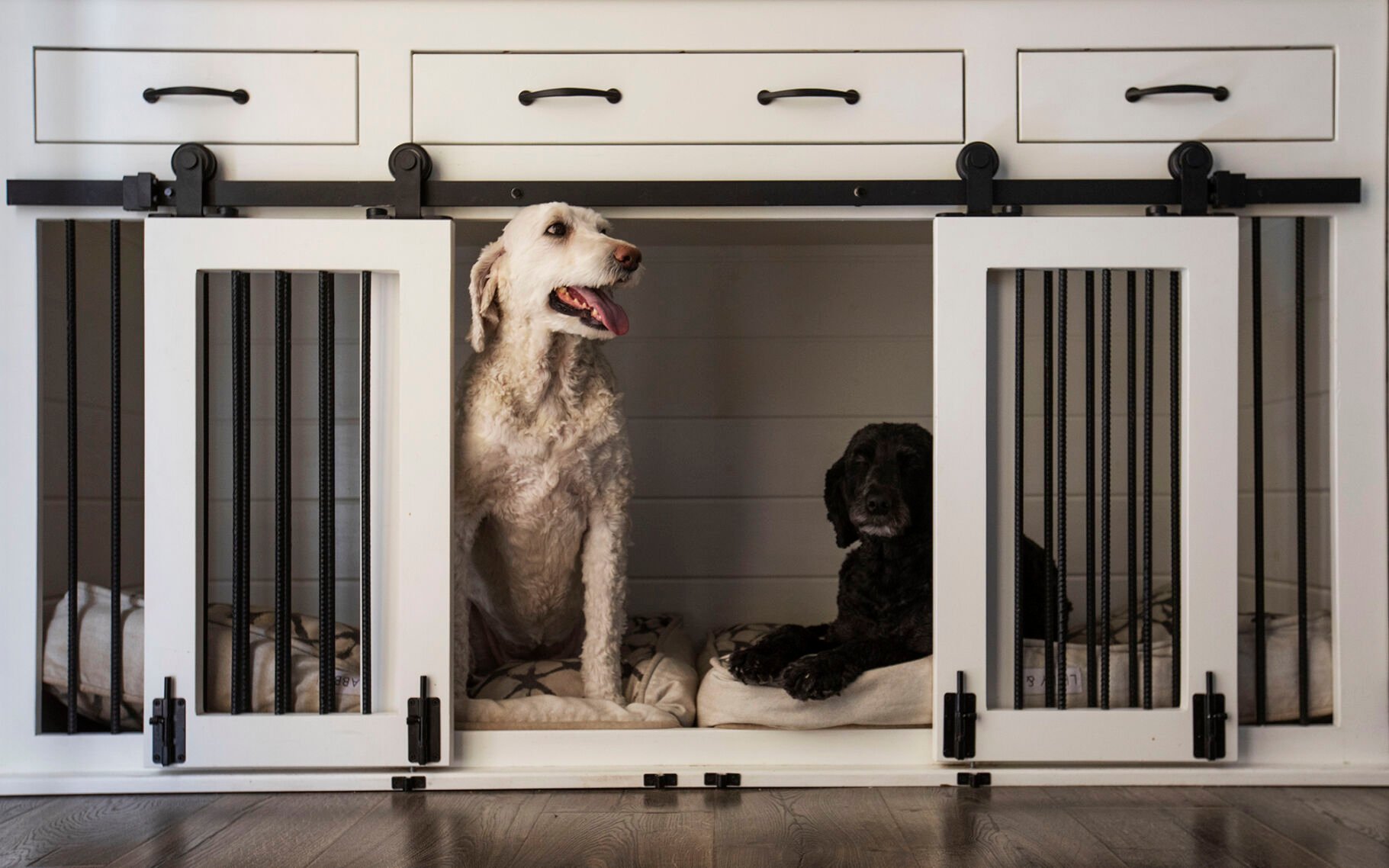 B and 2024 b kustom kennels