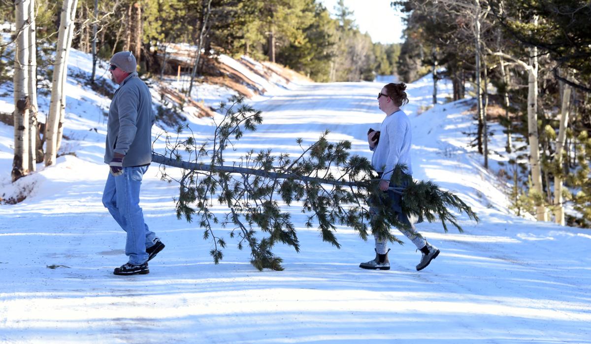 Cutting own Christmas tree a holiday tradition for thousands in Pikes Peak region
