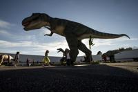 PHOTOS: Dino and Dragon Stroll roars its way to the Coliseum