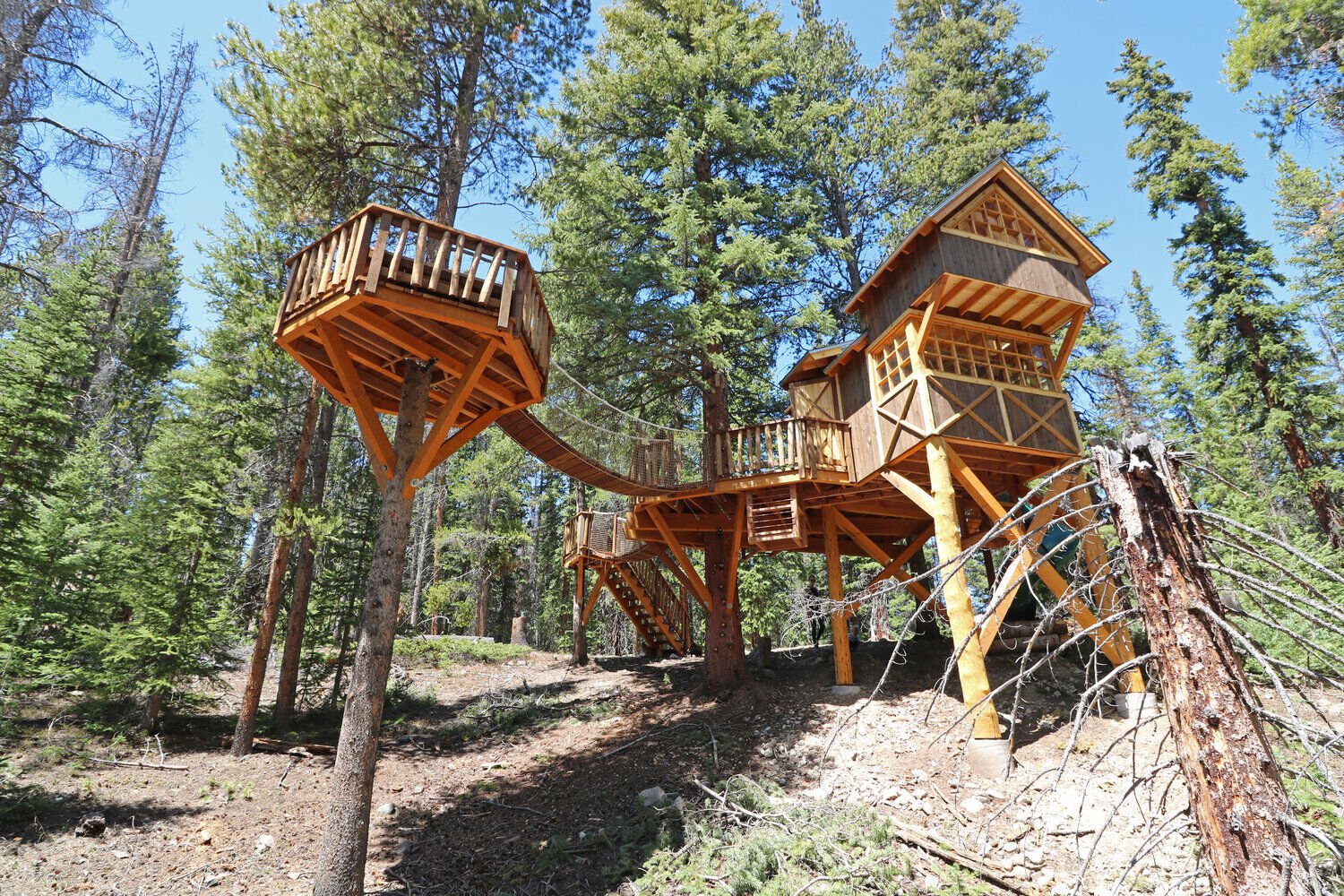 Colorado man builds epic treehouses that surpass your childhood