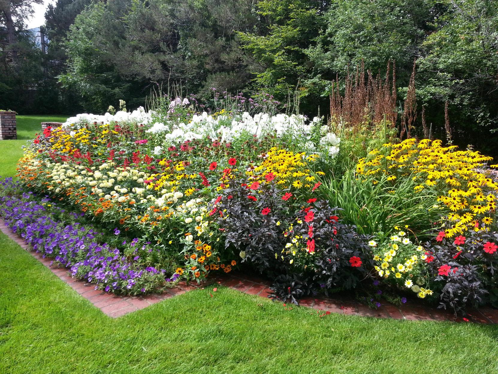 Plant Annuals And Perennials, Year Round Landscaping Plants
