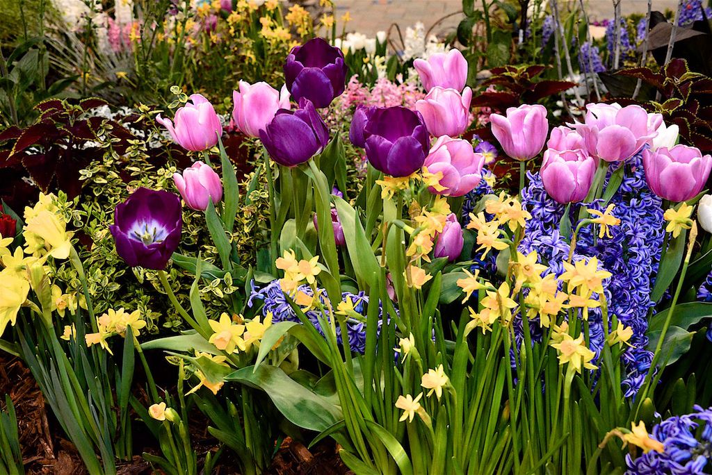 60th Annual Colorado Garden And Home Show Continues In Denver This