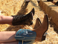 colorado downtown boots