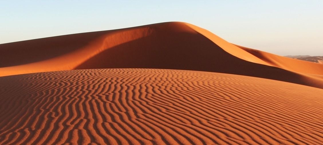 Dune osha top