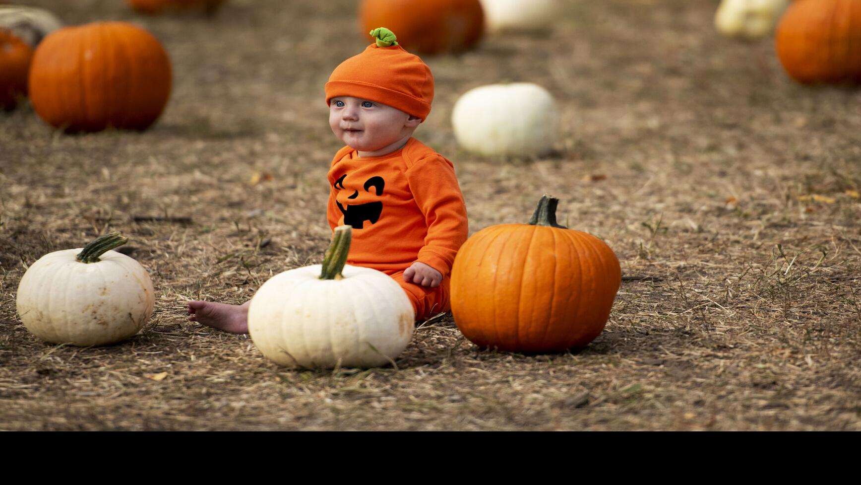 2022 Halloween and Fall Festival Events | | gazette.com