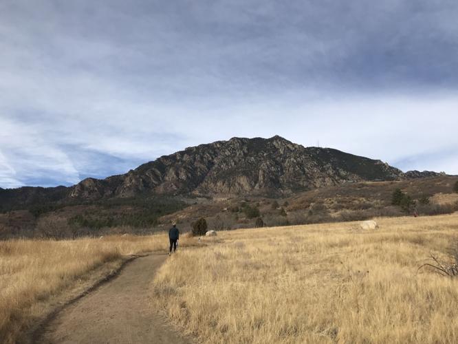 are dogs allowed at cheyenne mountain state park