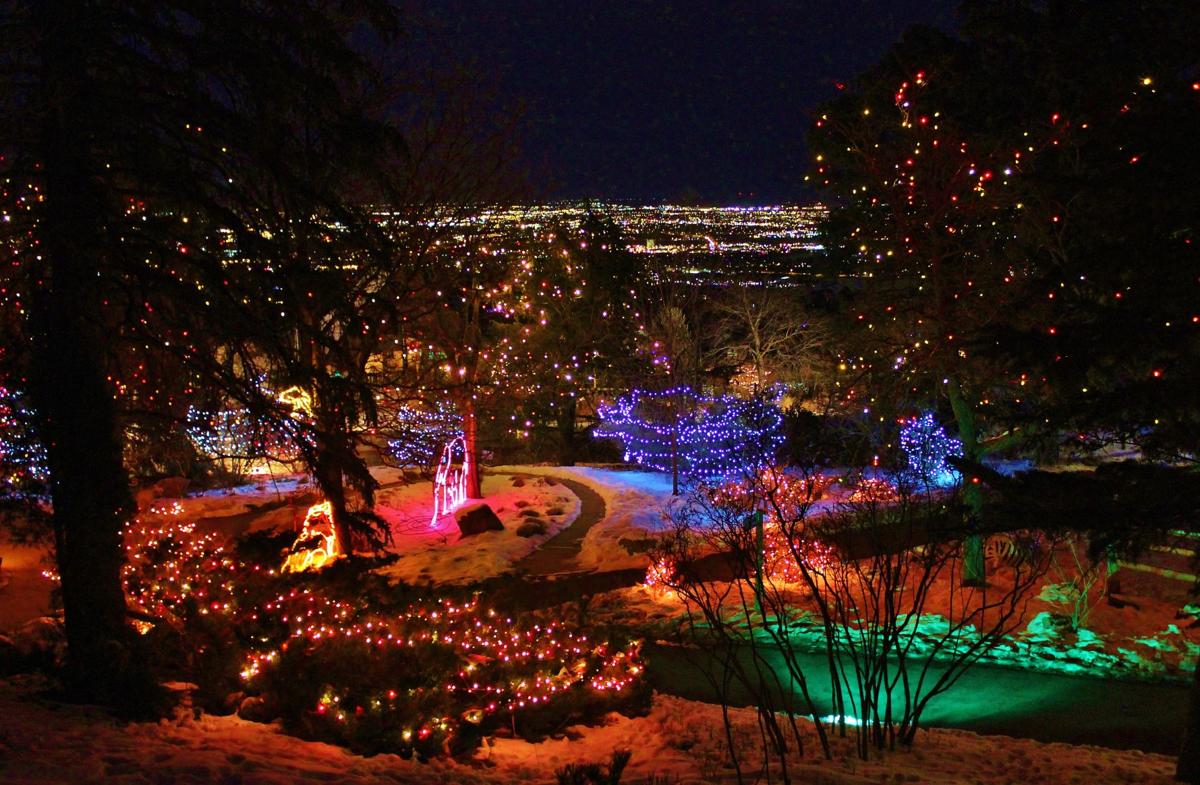 Colorado Springs Zoo S Electric Safari Begins This Week Lifestyle Colorado Springs Zoo S Electric Safari Begins This Week