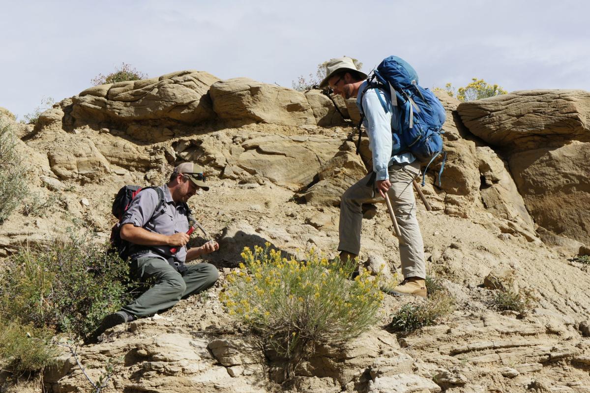 Unprecedented fossil discovery near Colorado Springs dates back 66