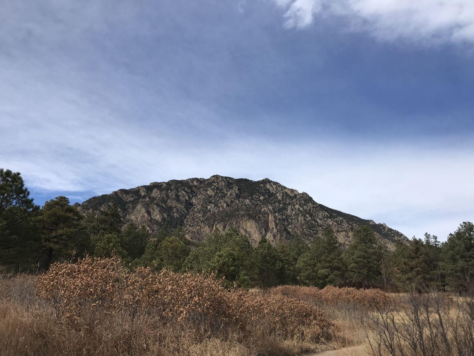 are dogs allowed at cheyenne mountain state park