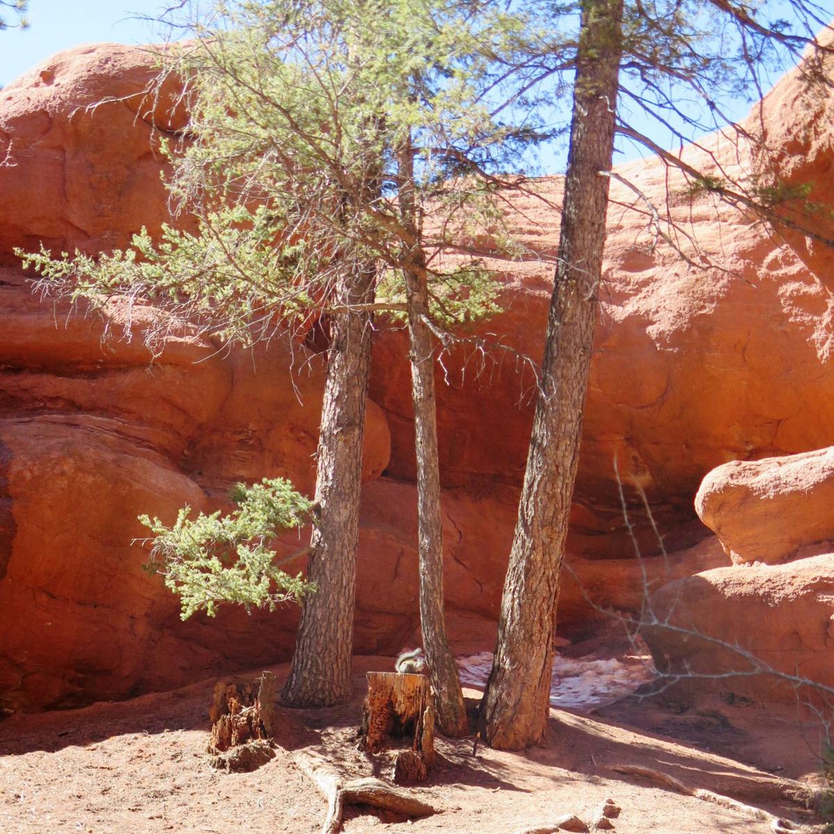 Exploring Woodland Park's red rocks