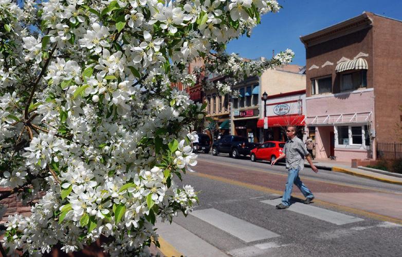 The trees along Manitou Avenue in Manitou Springs bloom Tuesday, April 10, 2012, as spring has come early in El Paso County as temperatures are expected to remain in the 70s until Friday. (The Gazette, Christian Murdock)