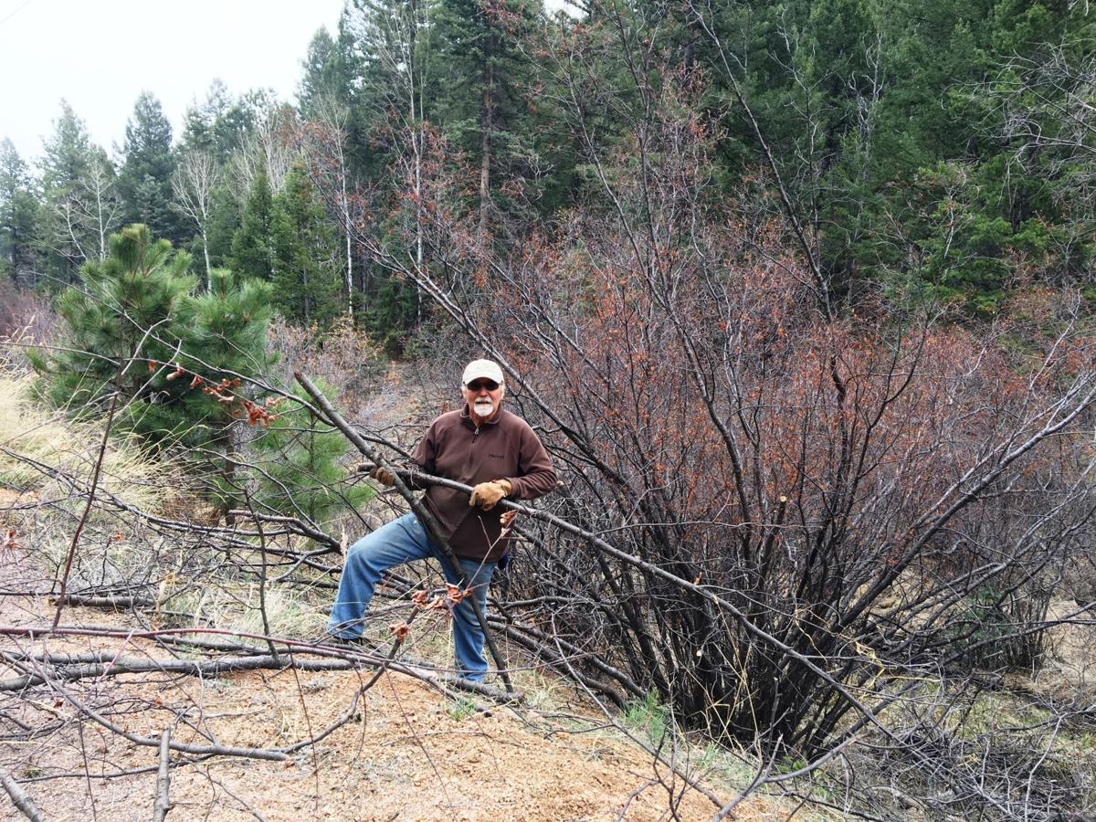 Working to keep Majestic Park safe